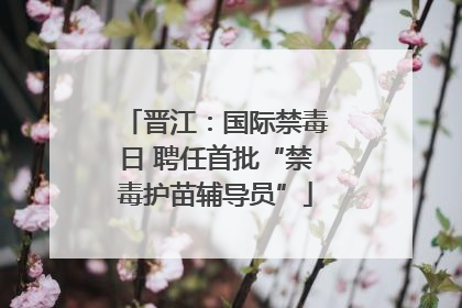 晋江：国际禁毒日 聘任首批“禁毒护苗辅导员”
